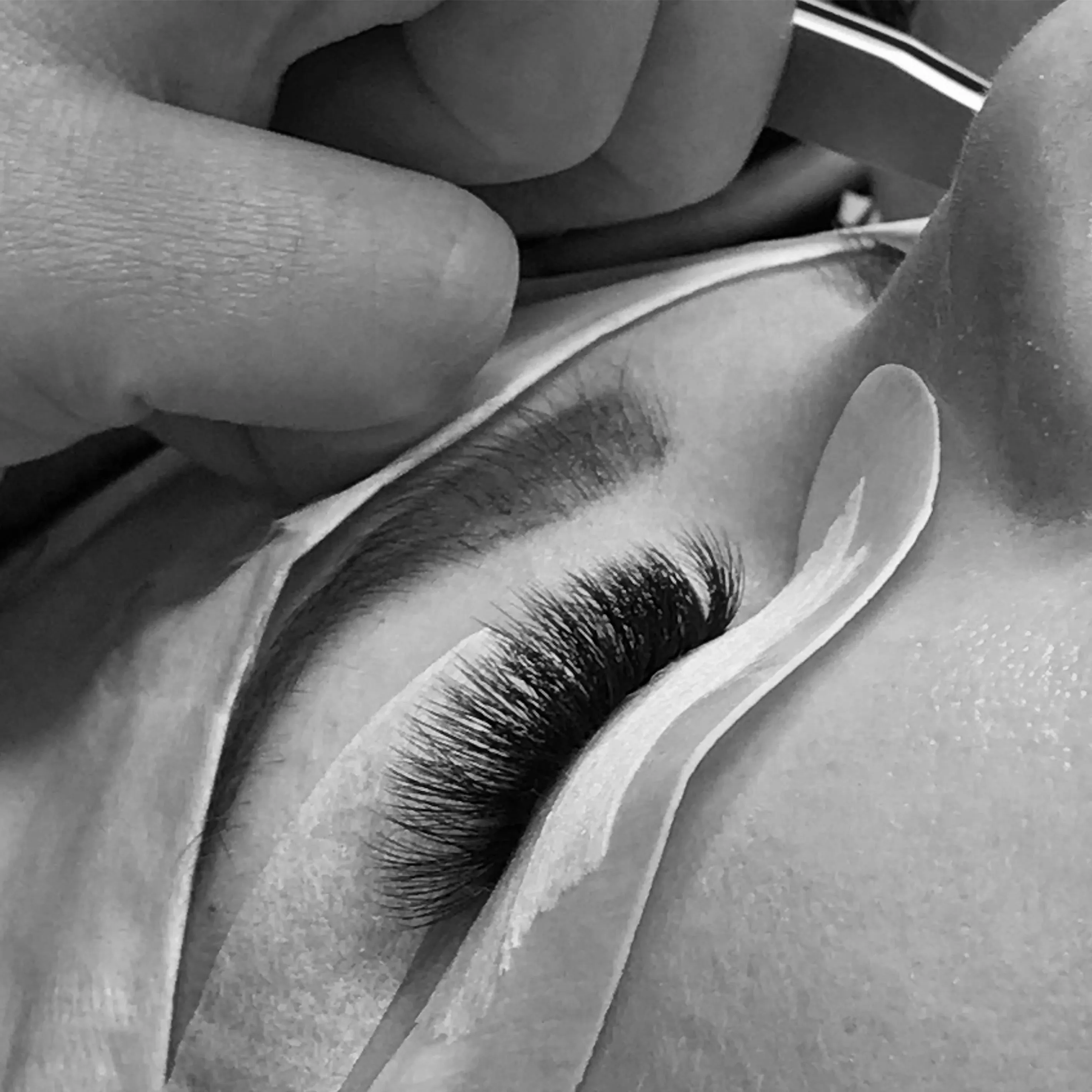 2 Day Russian Volume Lash Course | Brisbane