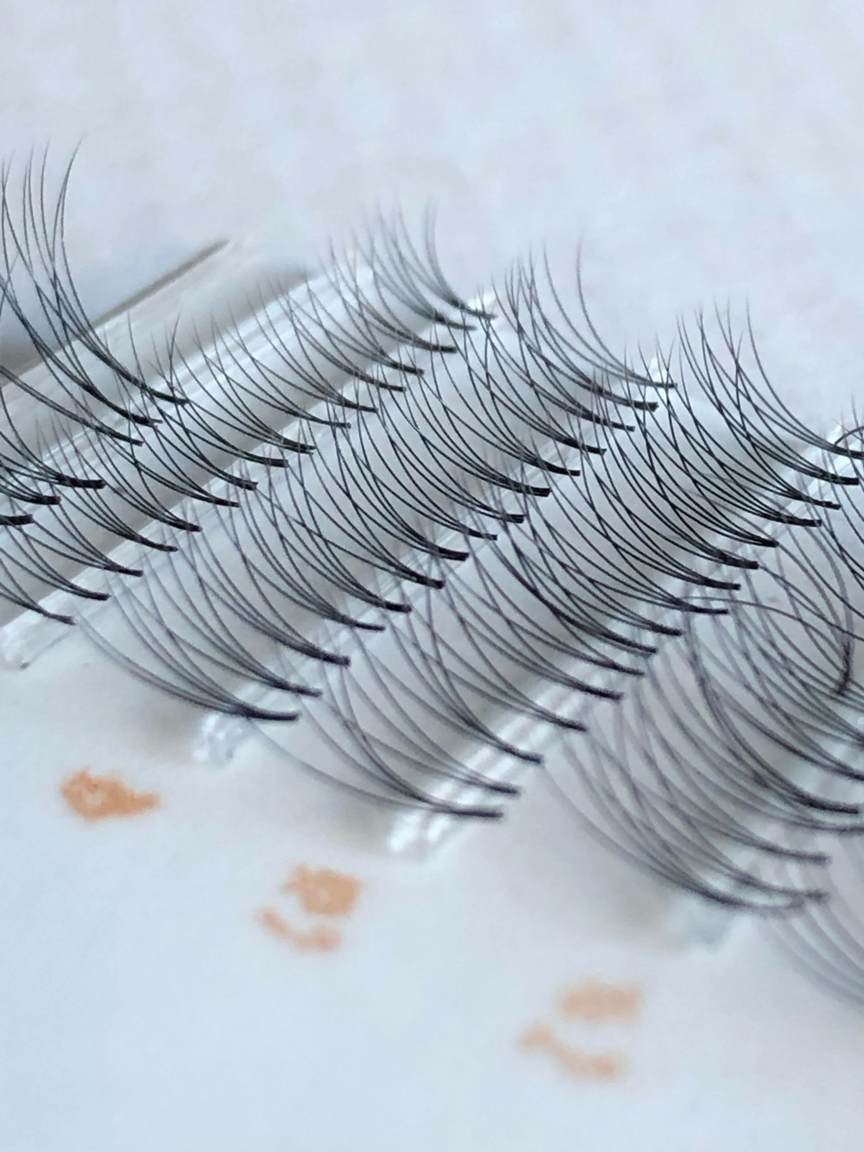 3 Day Volume & Hybrid Lash Course | Brisbane
