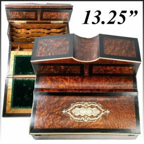 Antique French Ecritoire Writer's Desk, Chest, 13" Napoleon III Era, Exotic Woods, Boulle
