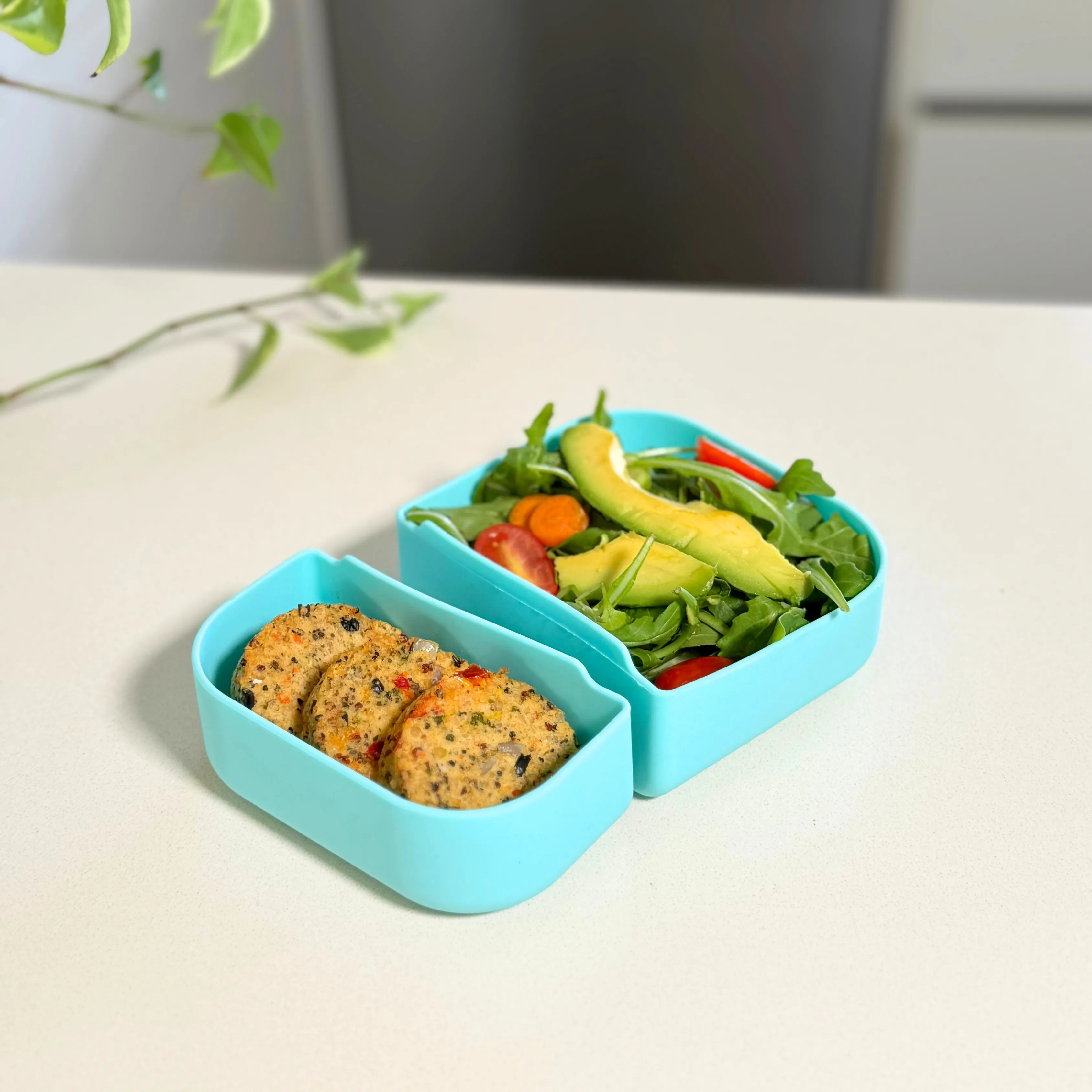 Aqua Rectangle Dividers