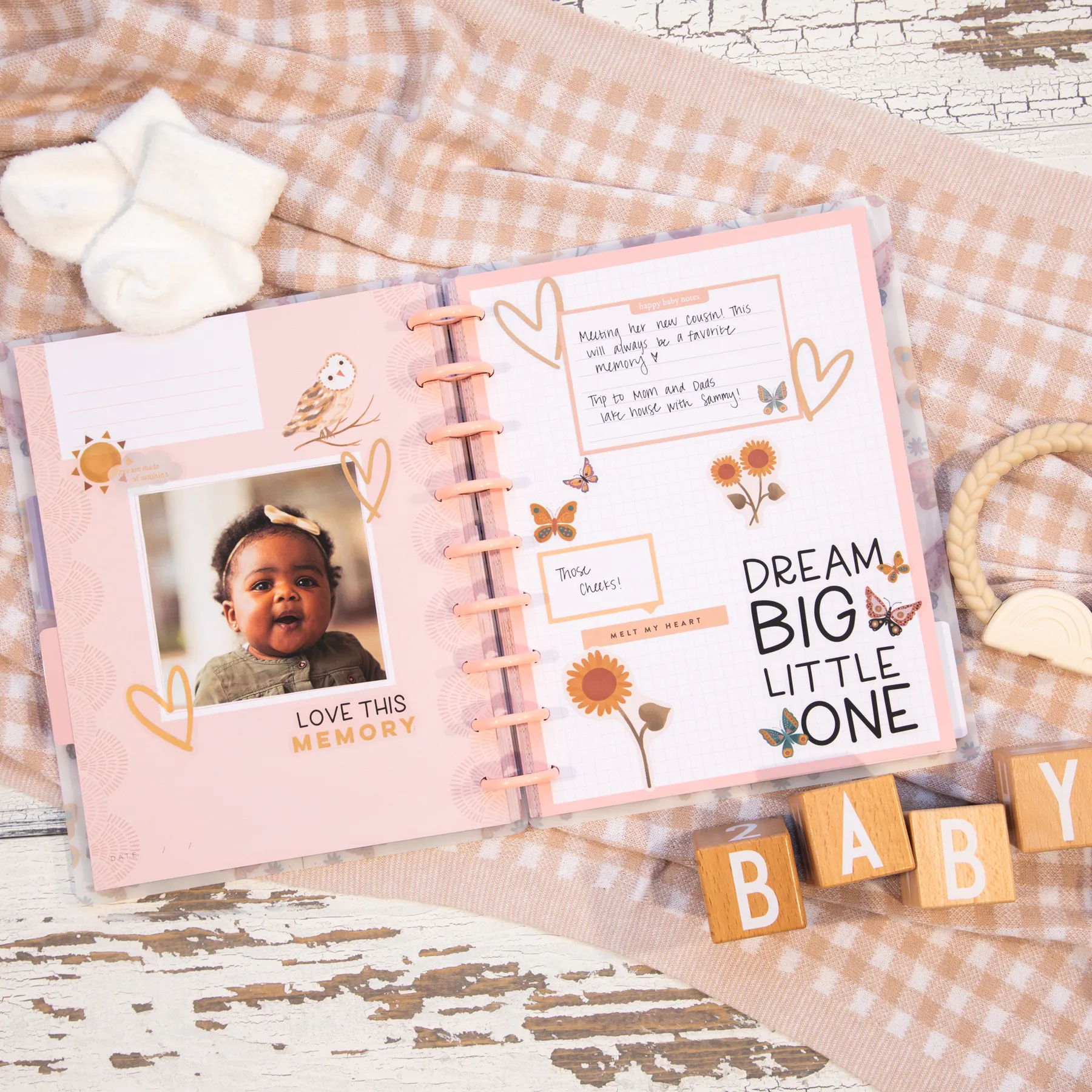 Beloved Butterflies Baby - Classic Happy Memory Keeping Photo Journal - 80 Sheets