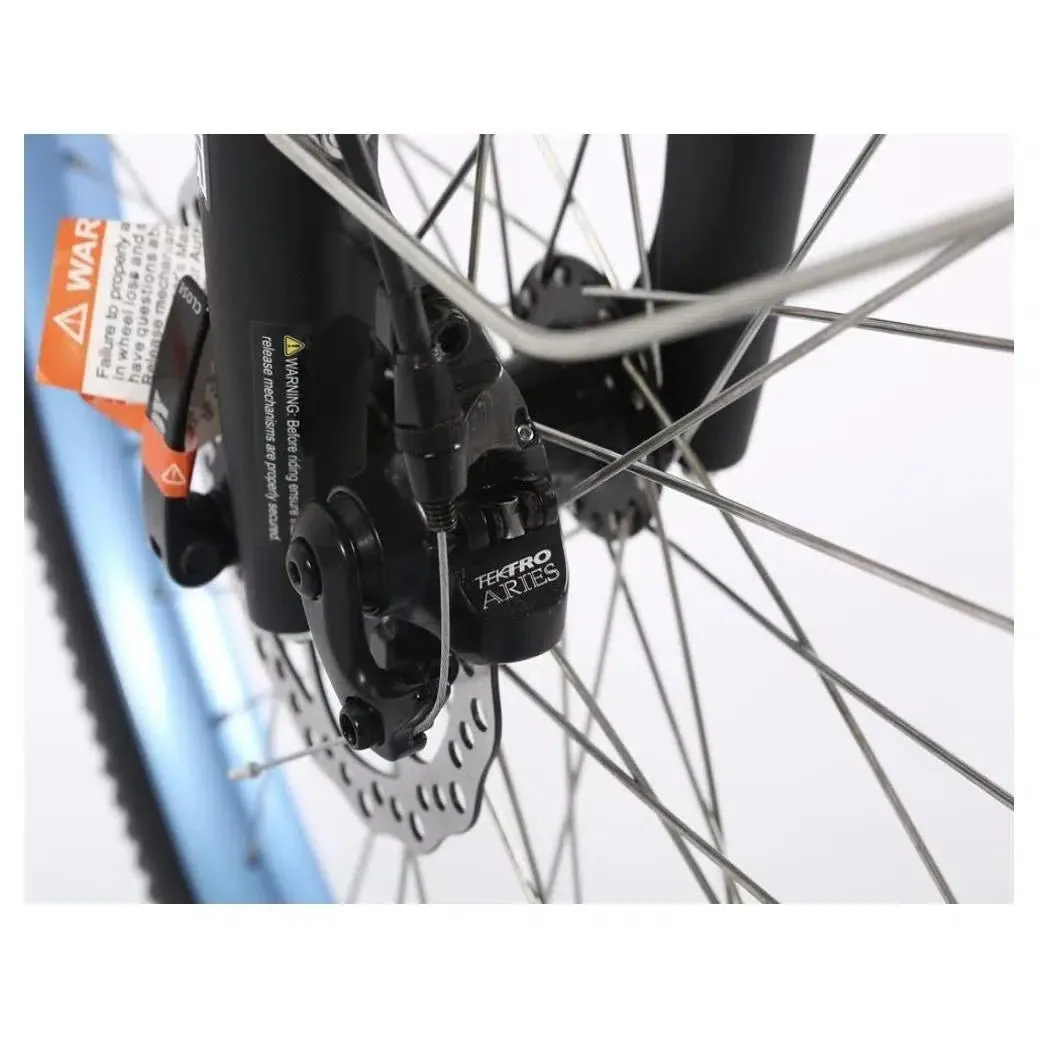 48-Volt Lithium-Powered Catalina Electric Bike: Step-Through Beach Cruiser Model