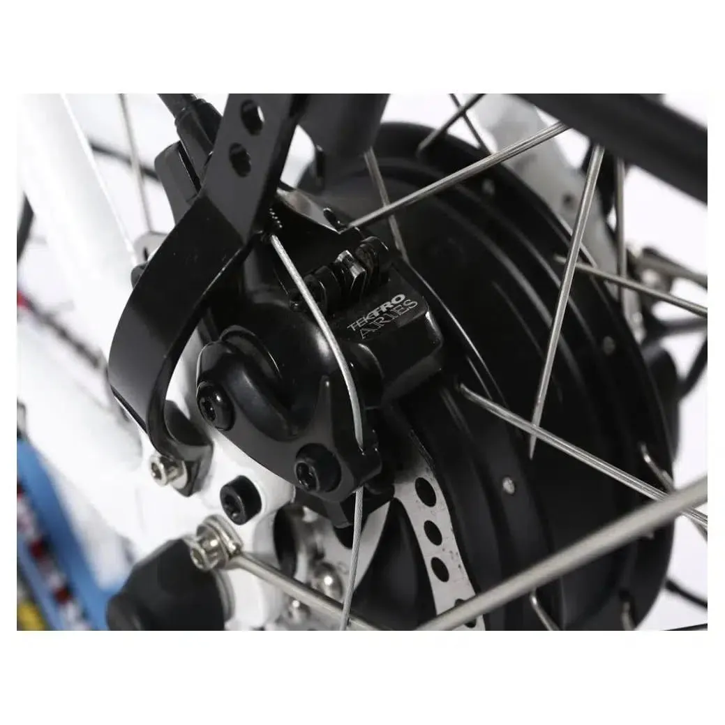 48-Volt Lithium-Powered Catalina Electric Bike: Step-Through Beach Cruiser Model