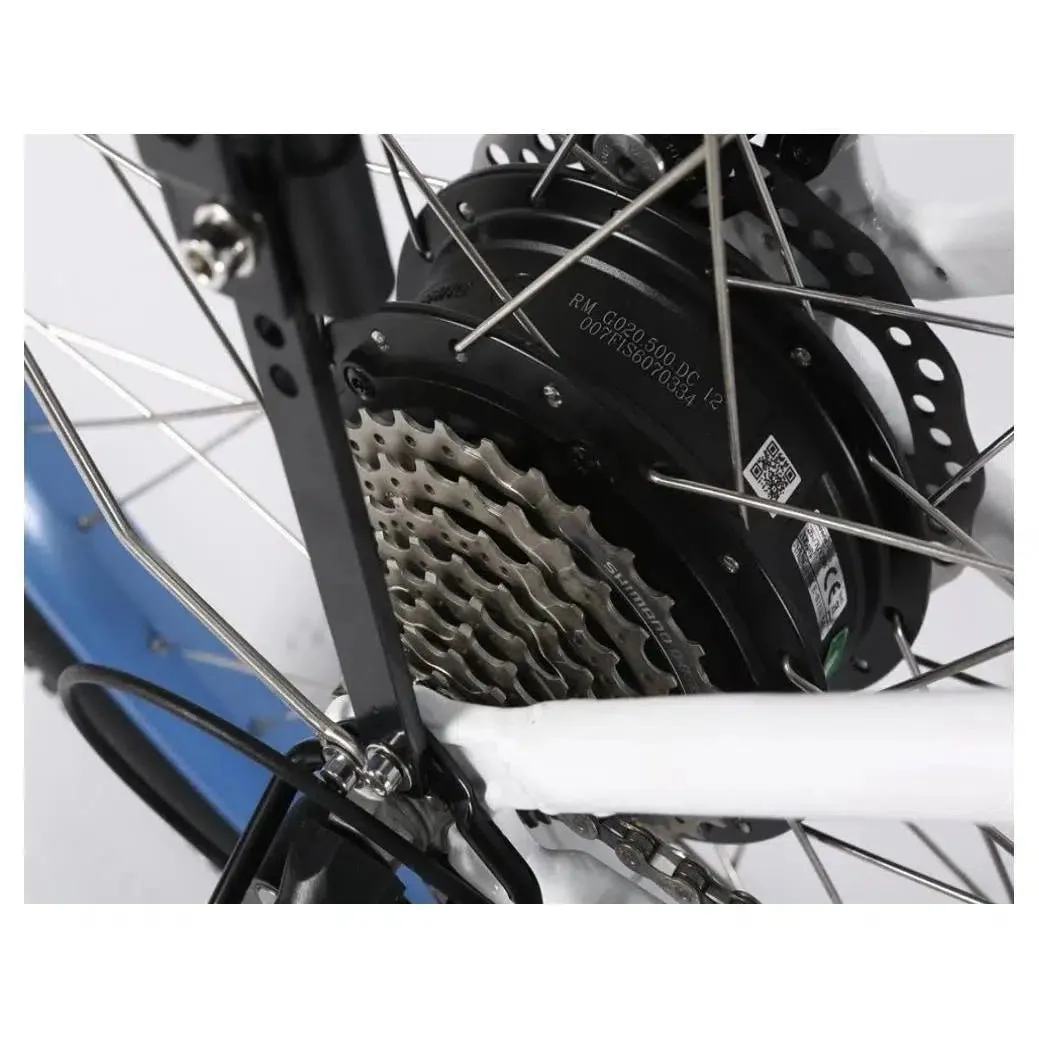 48-Volt Lithium-Powered Catalina Electric Bike: Step-Through Beach Cruiser Model