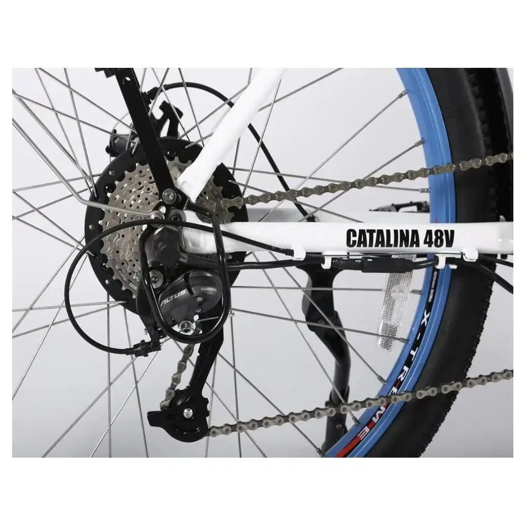 48-Volt Lithium-Powered Catalina Electric Bike: Step-Through Beach Cruiser Model