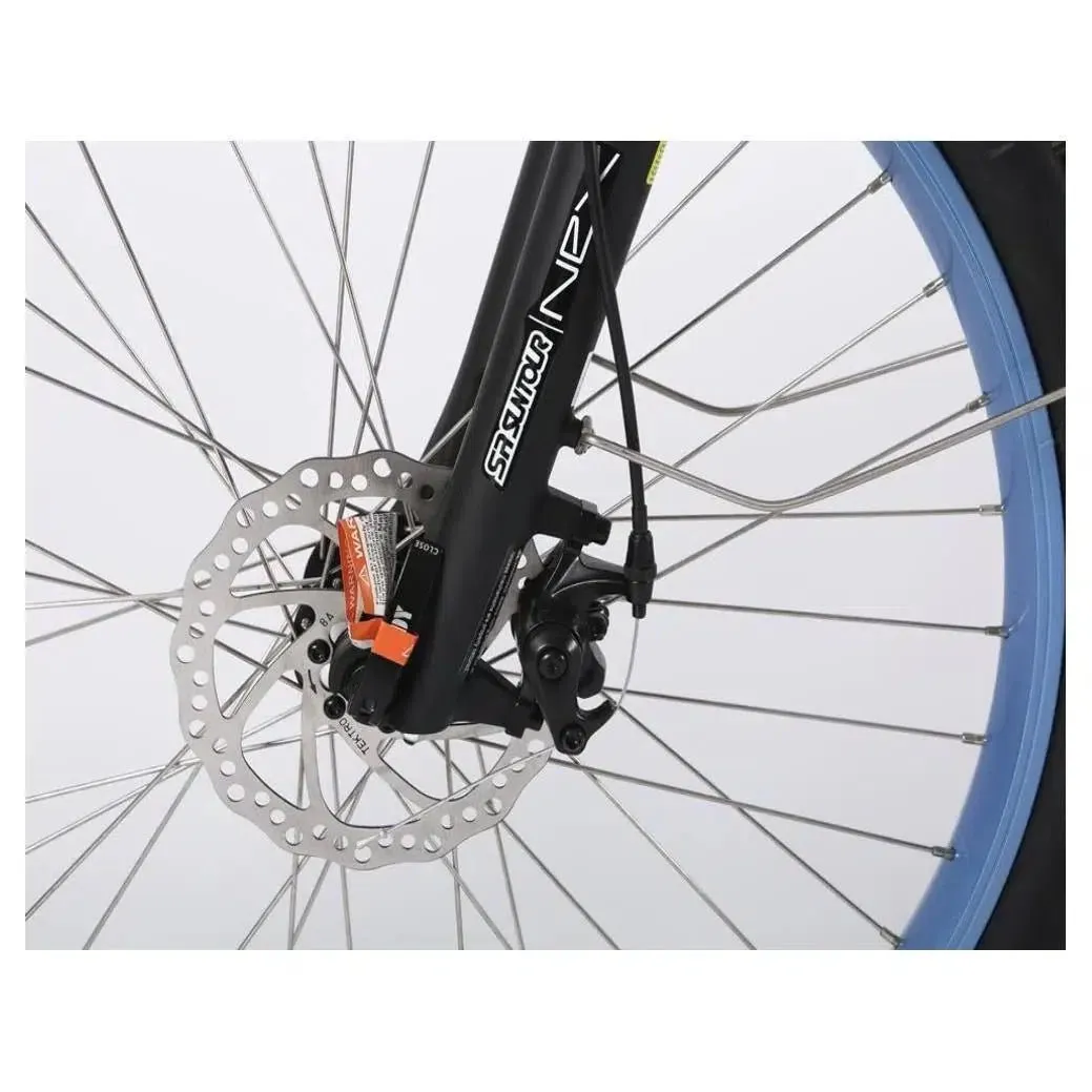48-Volt Lithium-Powered Catalina Electric Bike: Step-Through Beach Cruiser Model
