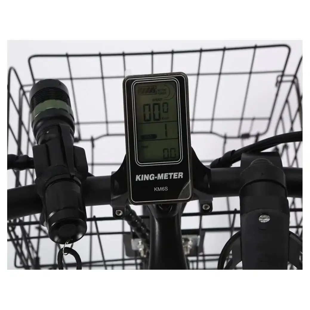 48-Volt Lithium-Powered Catalina Electric Bike: Step-Through Beach Cruiser Model