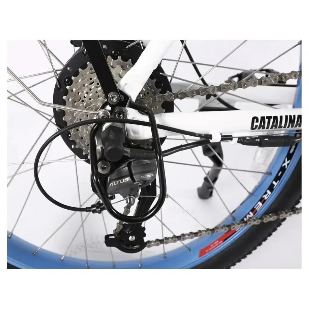 48-Volt Lithium-Powered Catalina Electric Bike: Step-Through Beach Cruiser Model