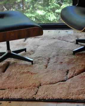 Dawn Area Rug