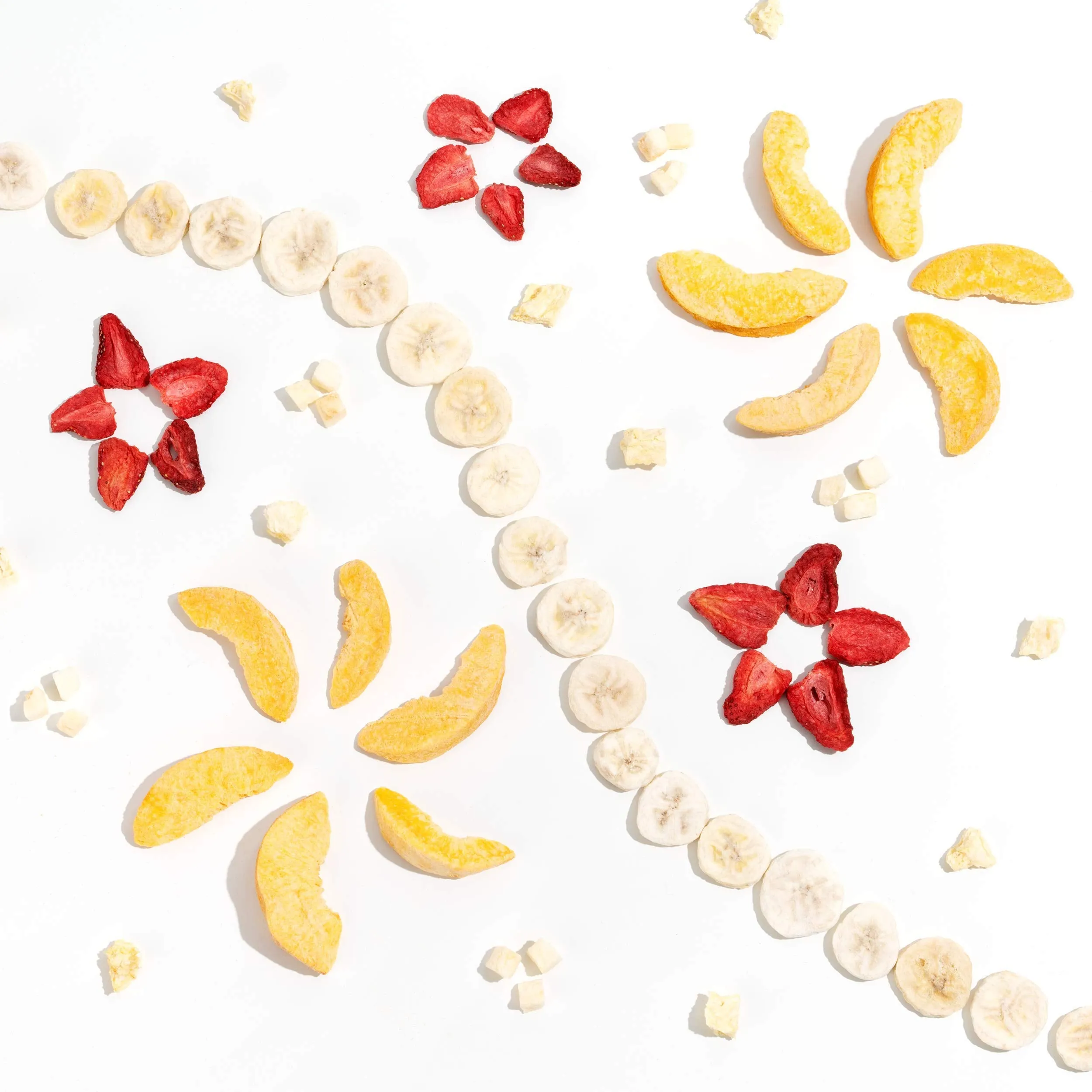 EasyPrep - Fruit Fest Emergency Food Storage Kit