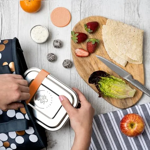 Everusely Stainless Steel Toddler Bento Box Small Metal Lunch Box for Kids