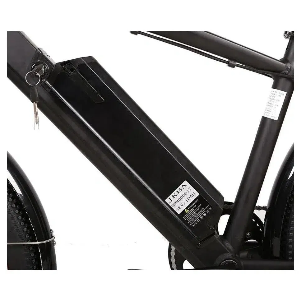 Laguna Beach Cruiser 48 Volt Lithium Powered Electric Bike