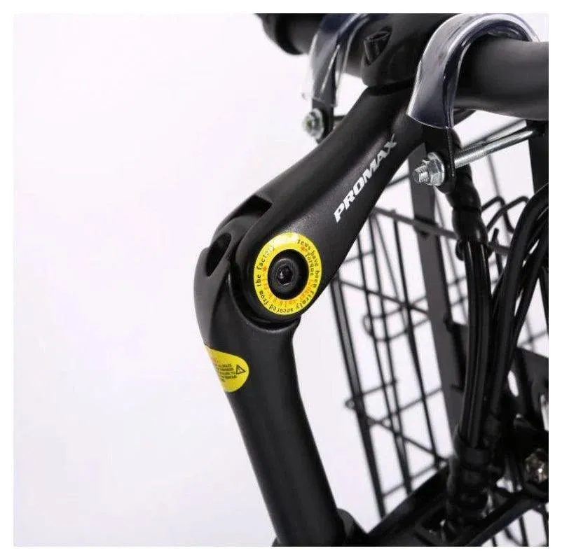 Malibu Elite Max 24 Volt Lithium Powered Beach Cruiser Electric Bike