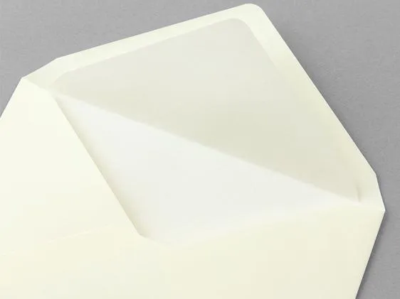 Midori  MD Paper Envelopes