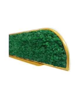 Moss Desk Dividers