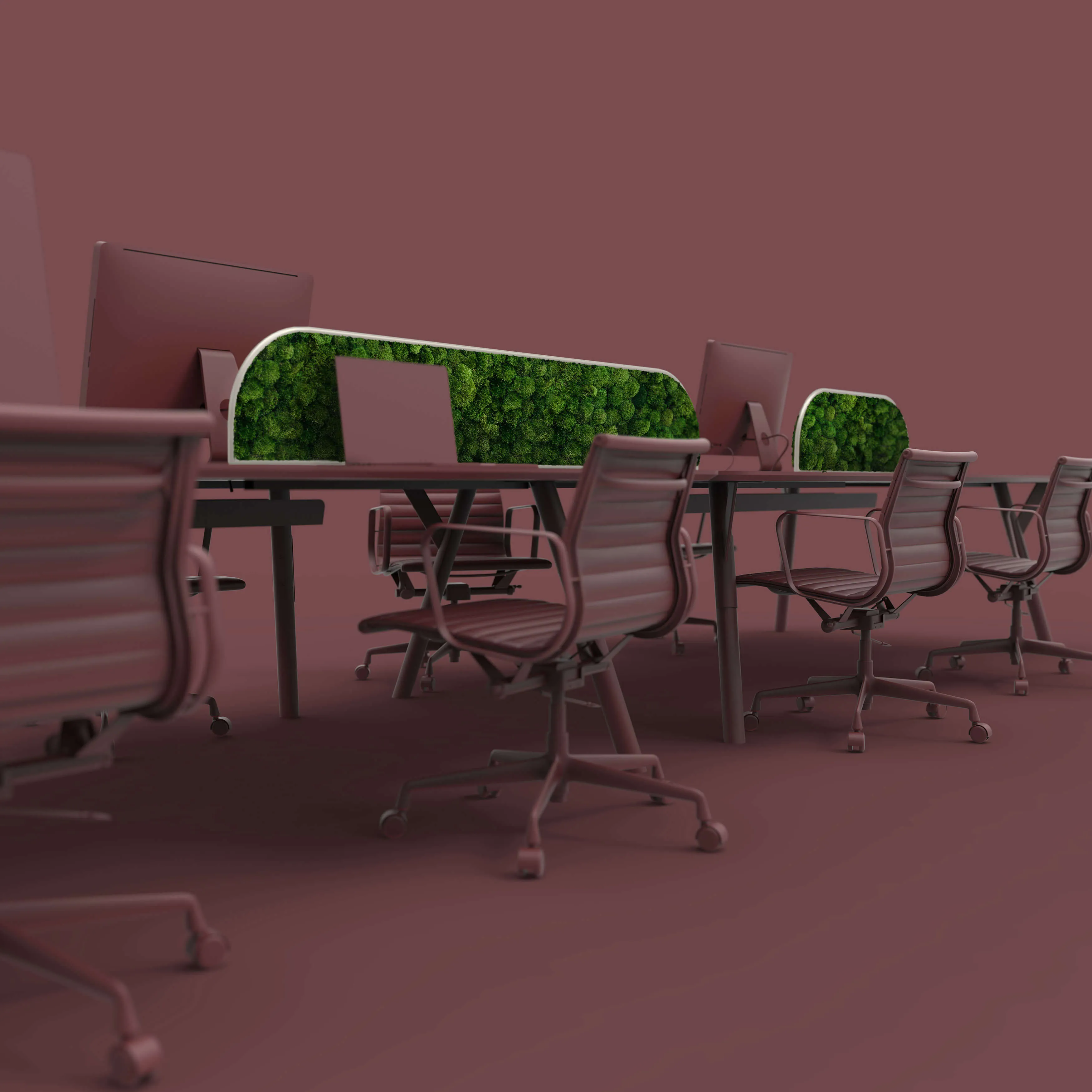 Moss Desk Dividers