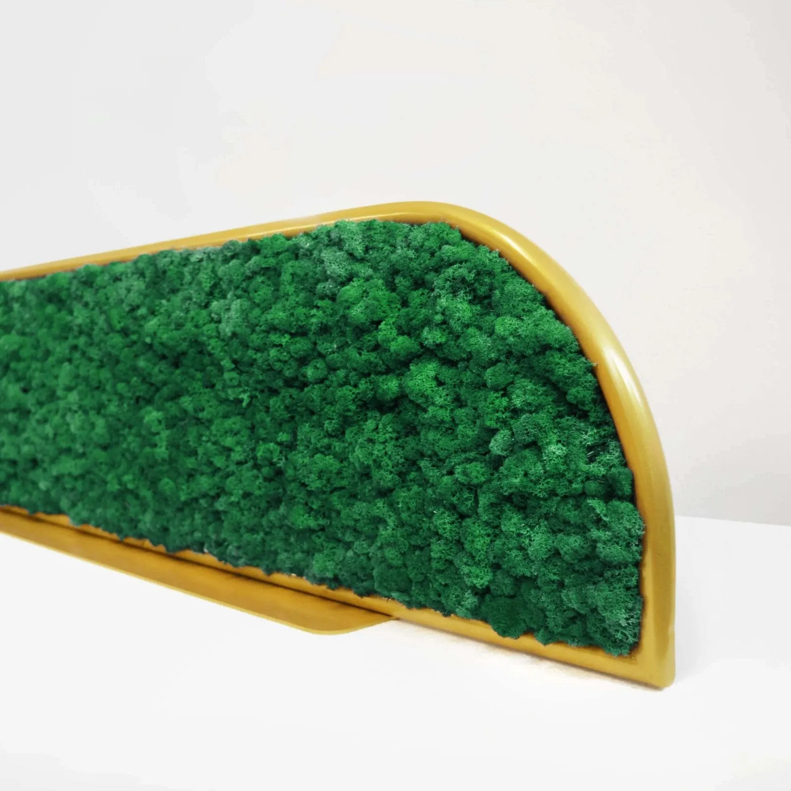 Moss Desk Dividers