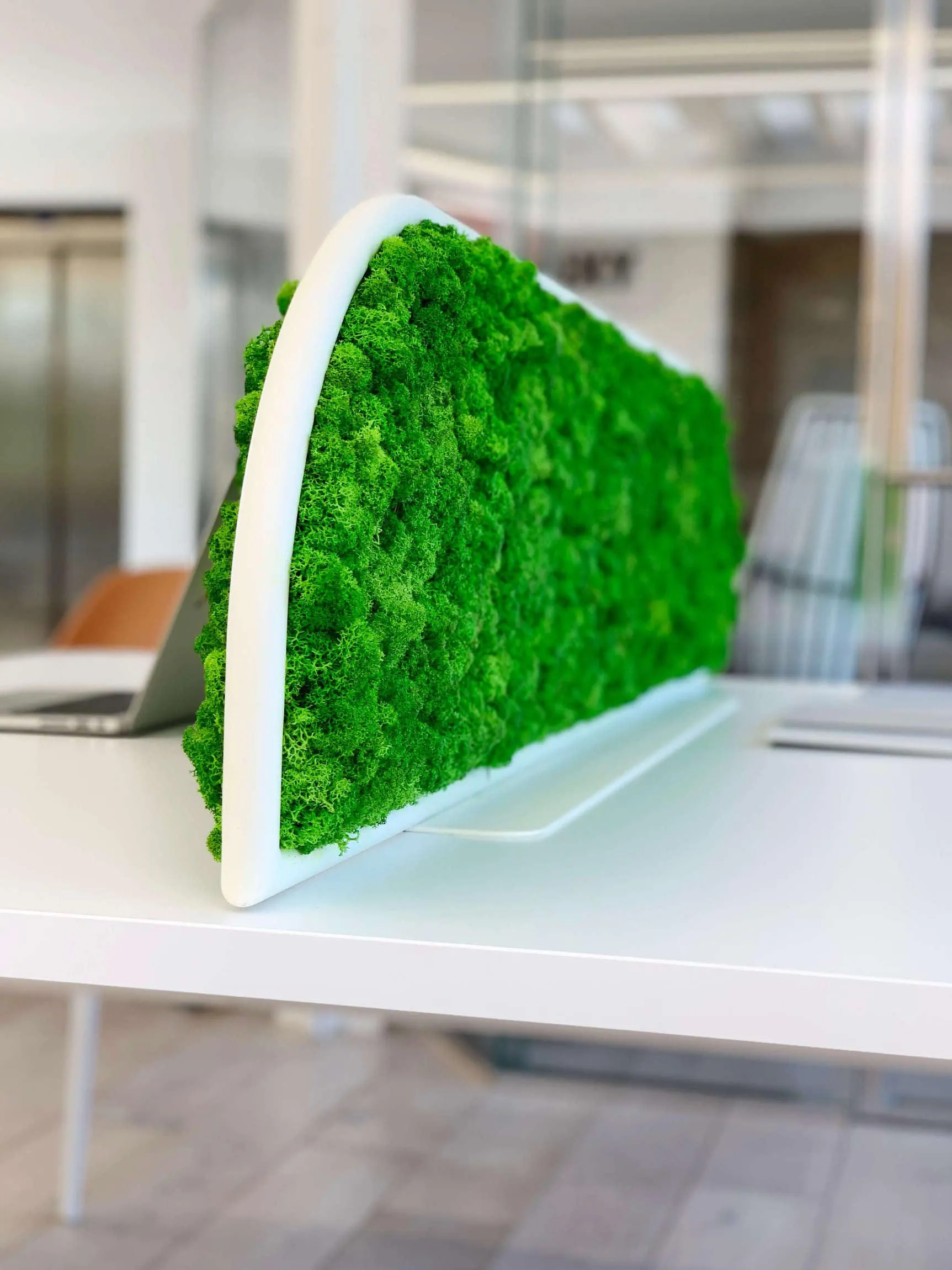 Moss Desk Dividers
