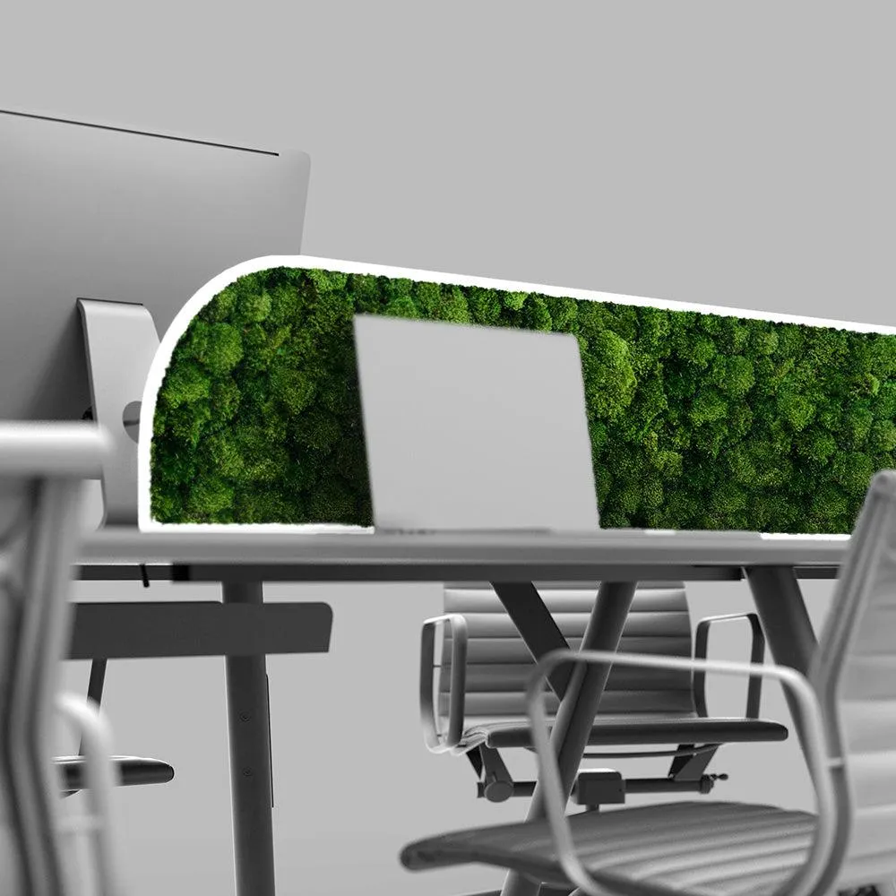 Moss Desk Dividers