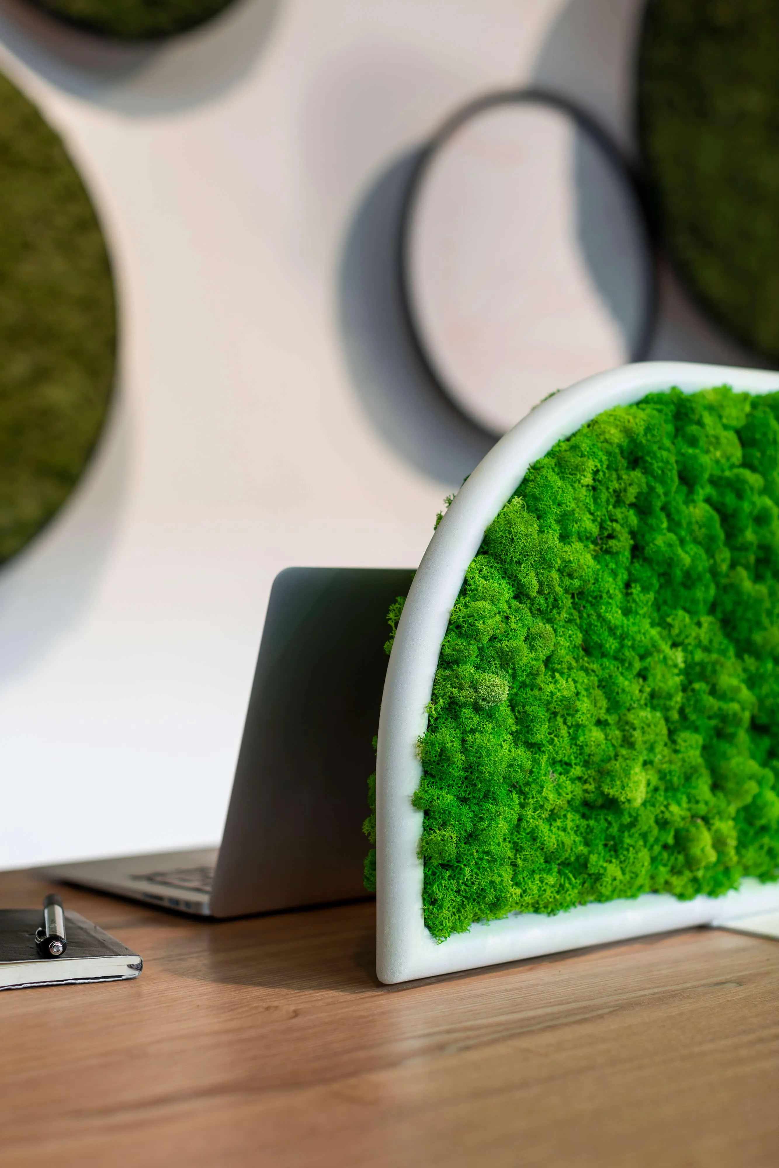 Moss Desk Dividers