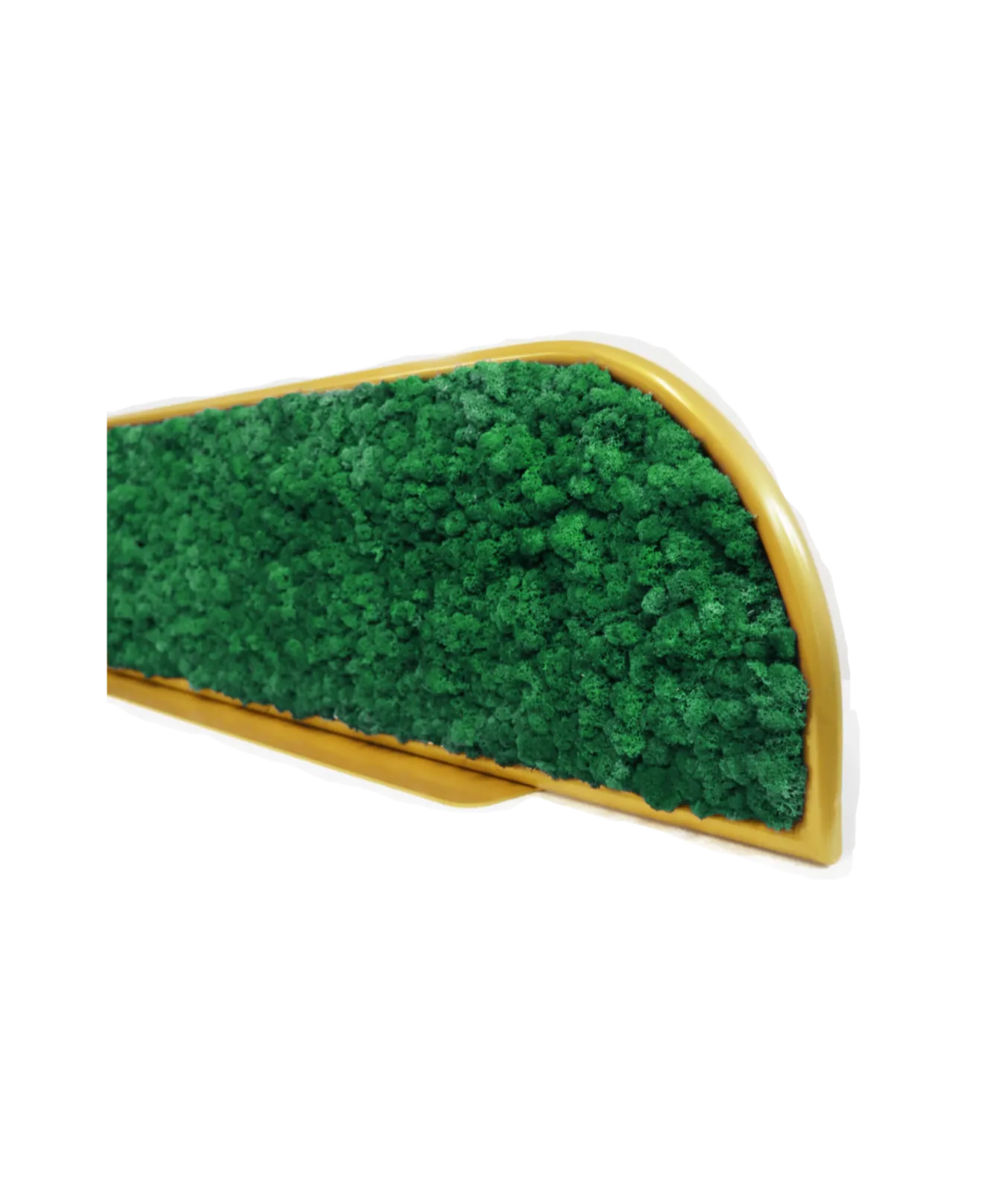 Moss Desk Dividers