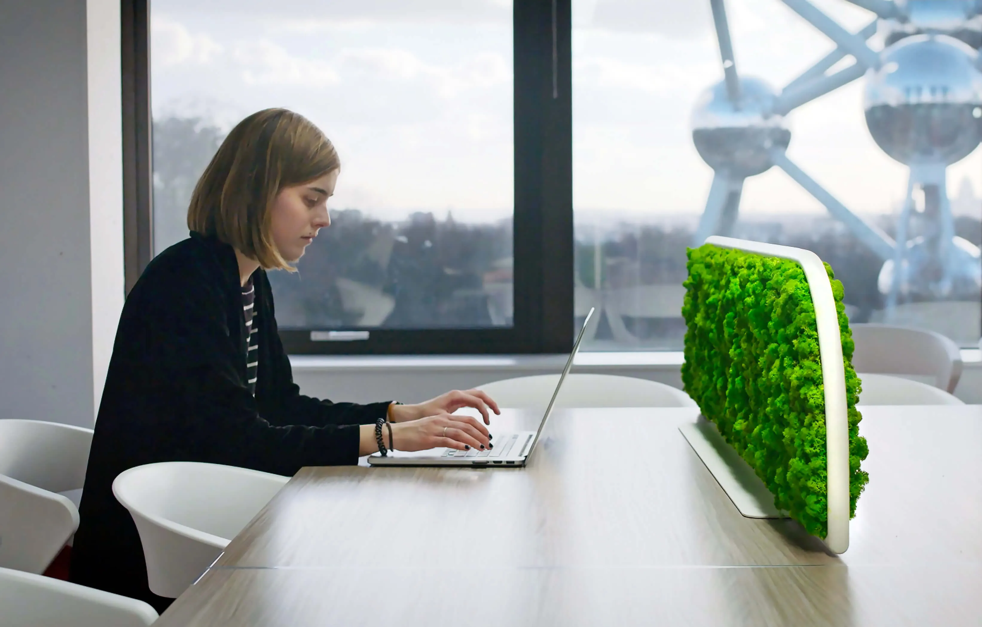 Moss Desk Dividers