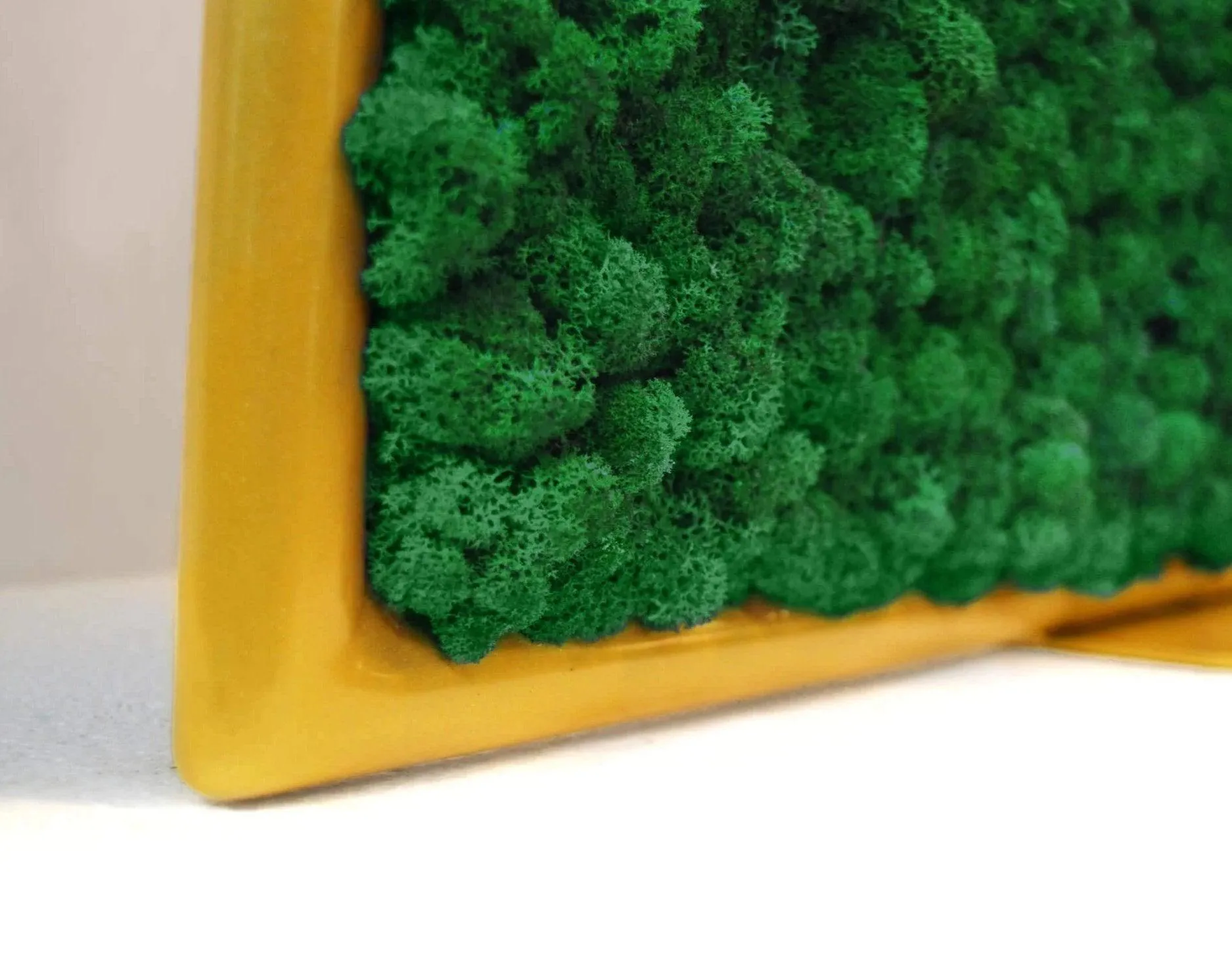 Moss Desk Dividers