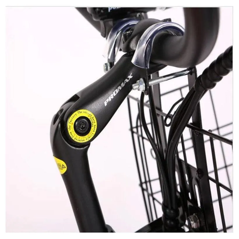 New Port Elite Max 24 Volt Lithium Powered Beach Cruiser Electric Bike