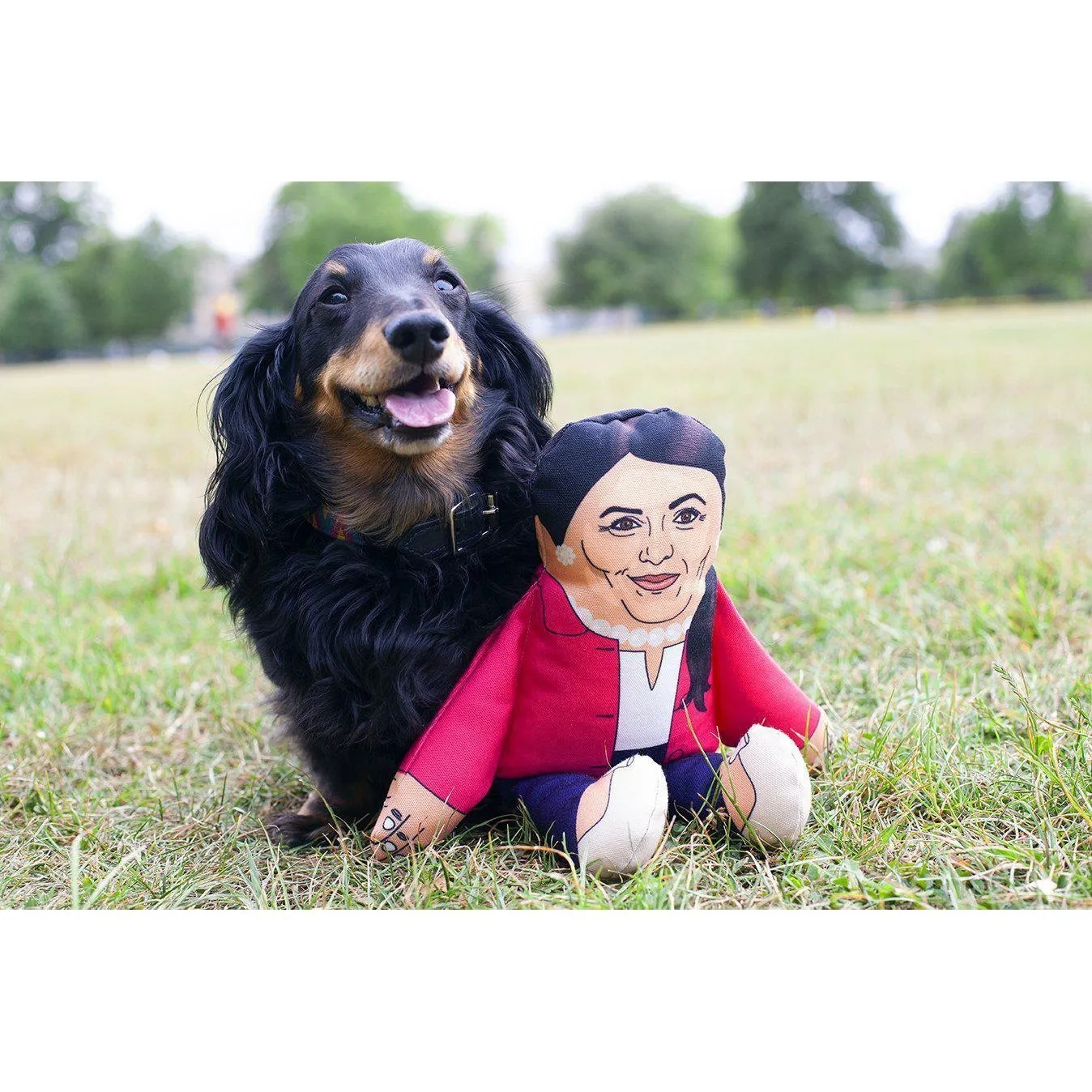 Pet Hates | Priti Patel - Dog Toy