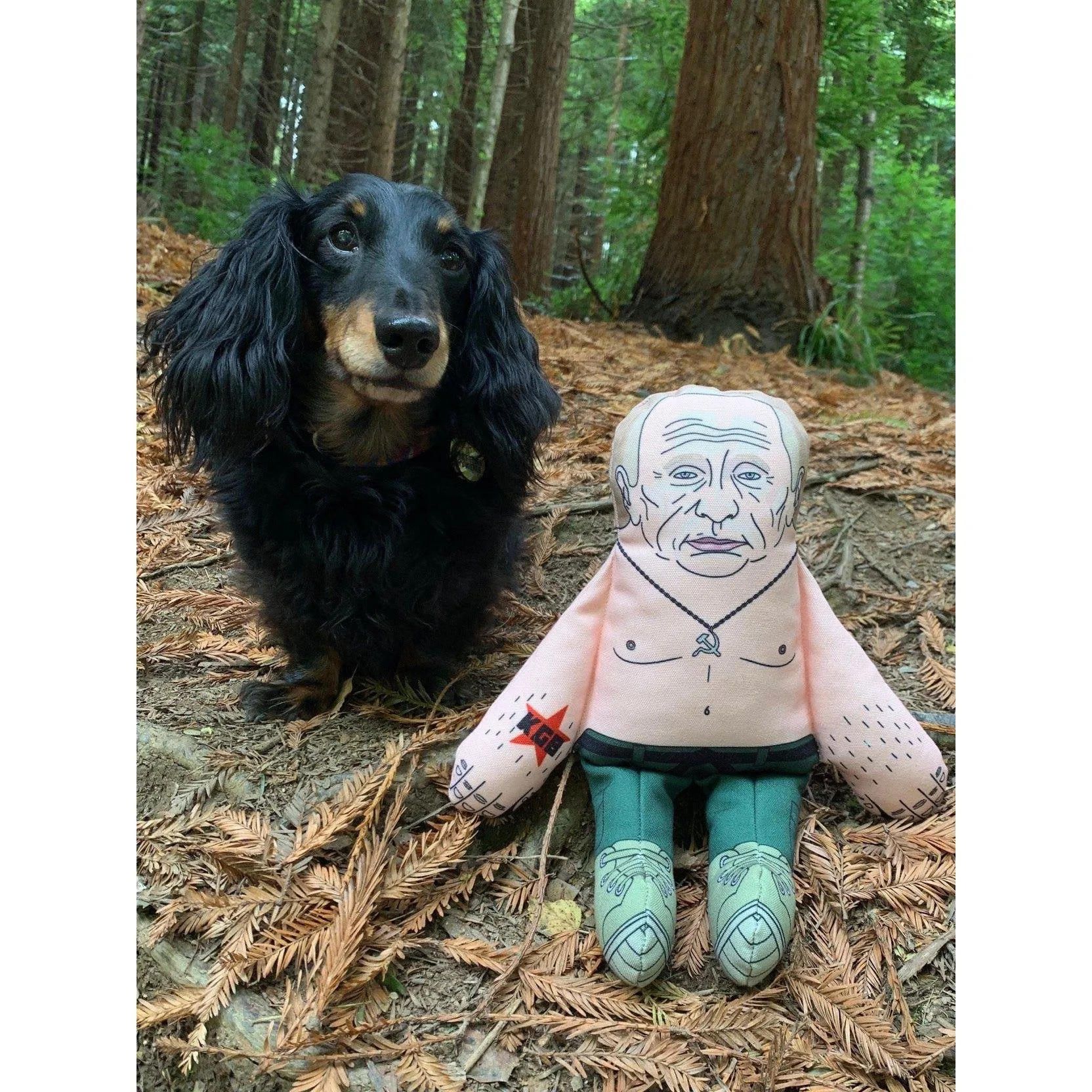 Pet Hates | Vladimir Putin - Dog Toy
