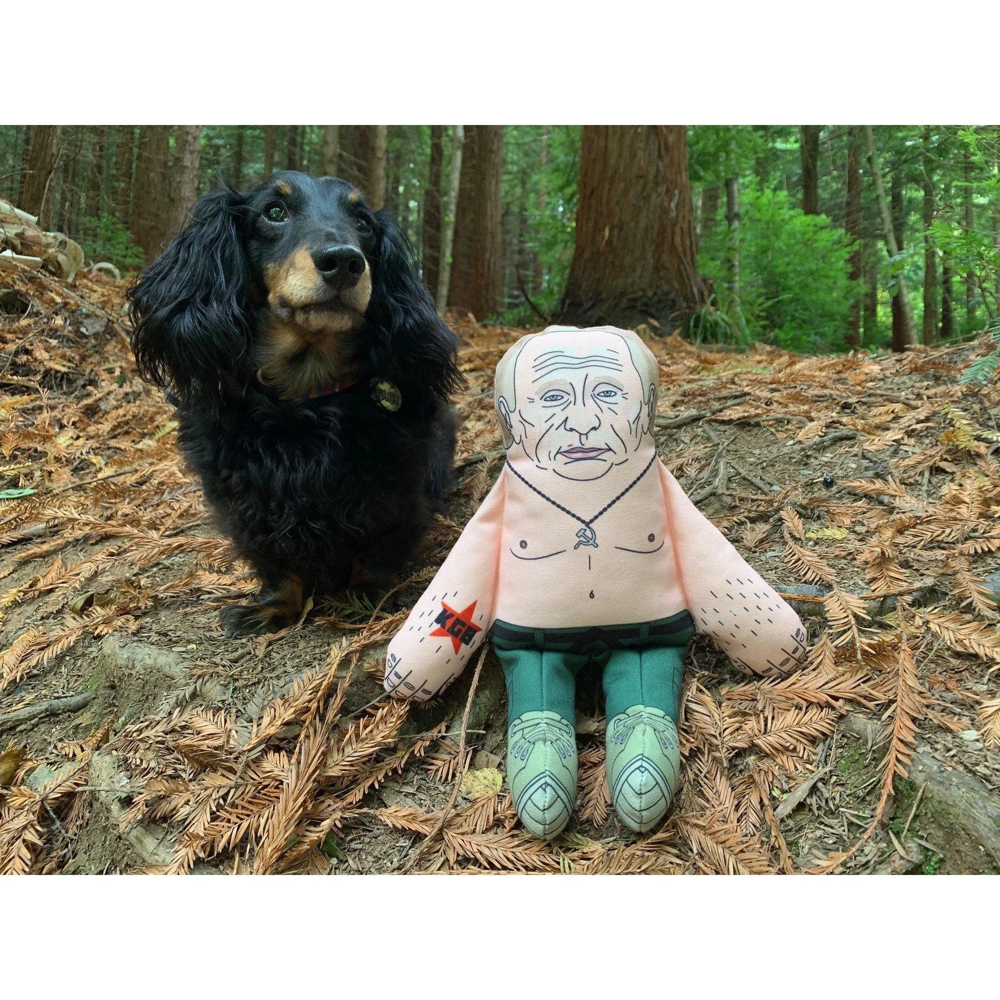 Pet Hates | Vladimir Putin - Dog Toy