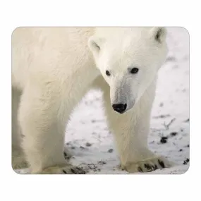 Polar Bear Mouse Pad