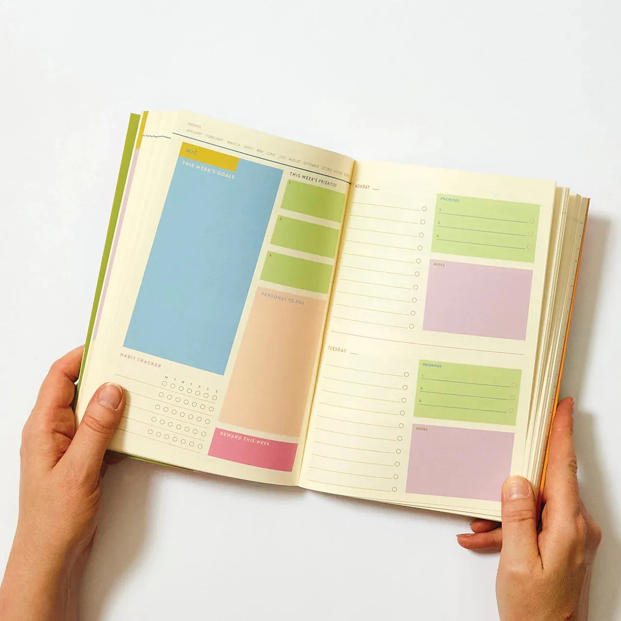 Raspberry Blossom Daily Planner 304 Page - Harlequin 13967