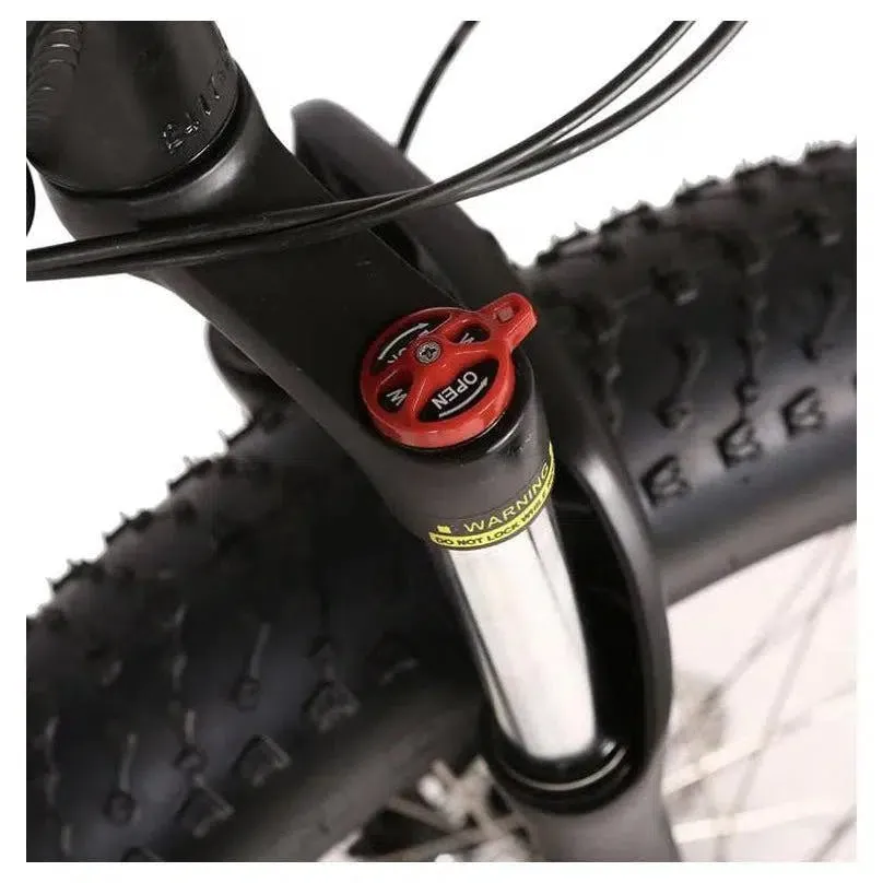 Rocky Road 48 Volt 10 Amp Lithium Powered Full Suspension Fat Tire Mountain Electric Bike