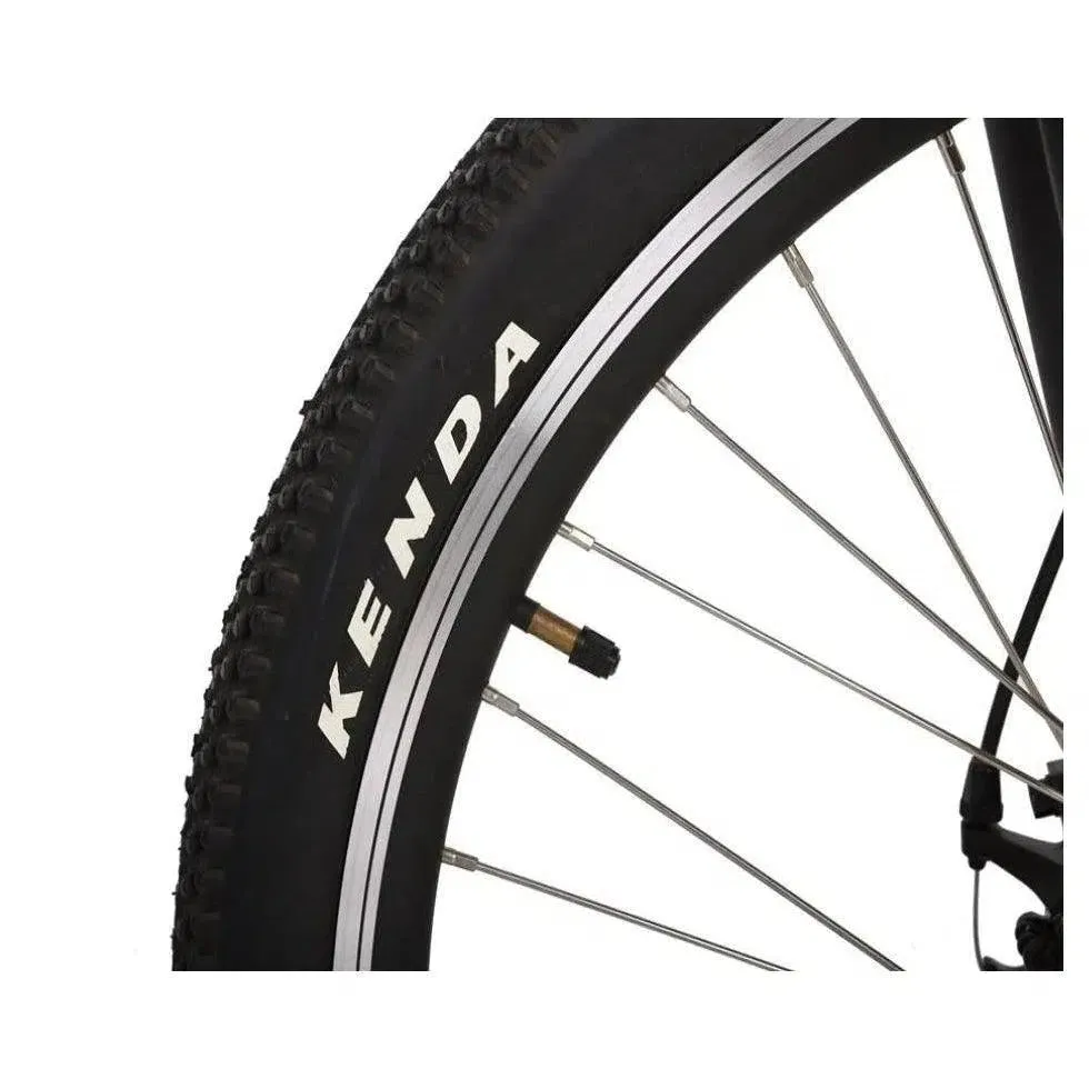 Rubicon 48 Volt Lithium Powered Mountain Electric Bike
