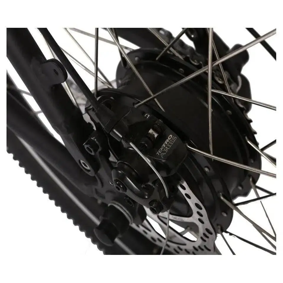 Rubicon 48 Volt Lithium Powered Mountain Electric Bike