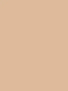 Savage Widetone Seamless Background Paper (Beige, 53" x 36)