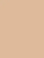 Savage Widetone Seamless Background Paper (Beige, 53" x 36)