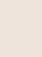 Savage Widetone Seamless Background Paper (Bone, 86” x 12yds)