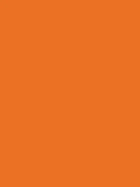 Savage Widetone Seamless Background Paper (Orange 86”X12yds)