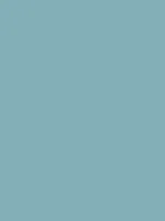 Savage Widetone Seamless Background Paper (Sky Blue, 53" x 36)