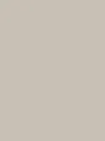 Savage Widetone Seamless Background Paper (Studio Gray, 53" x 36)