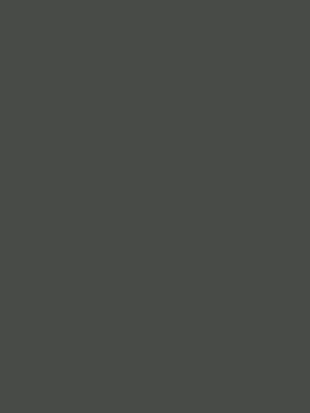 Savage Widetone Seamless Background Paper (Thunder Gray, 107" x 36)