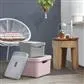 Sigma Home Lid Transparent - Storage Box 24L And 32L