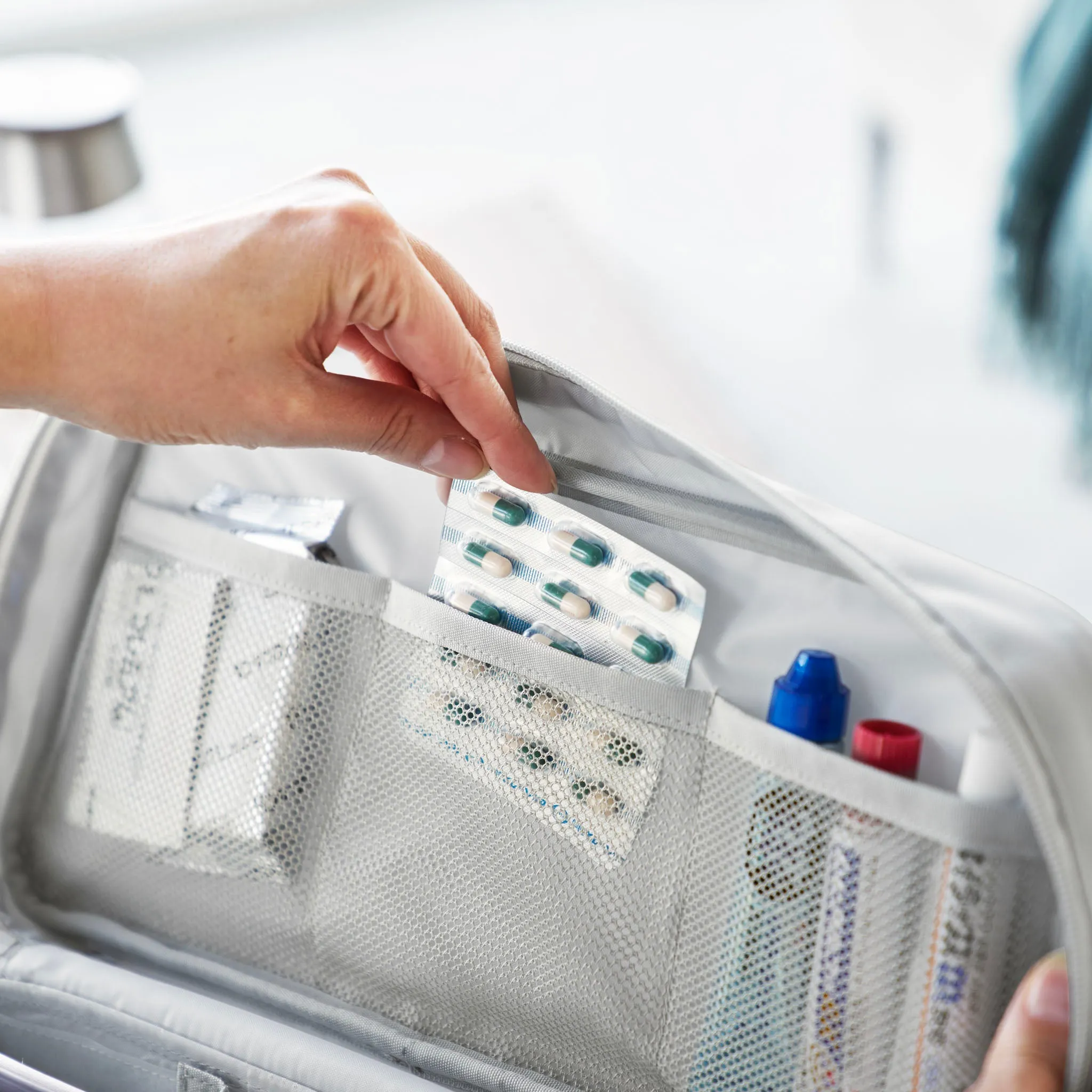 Storage Bag with Dividers