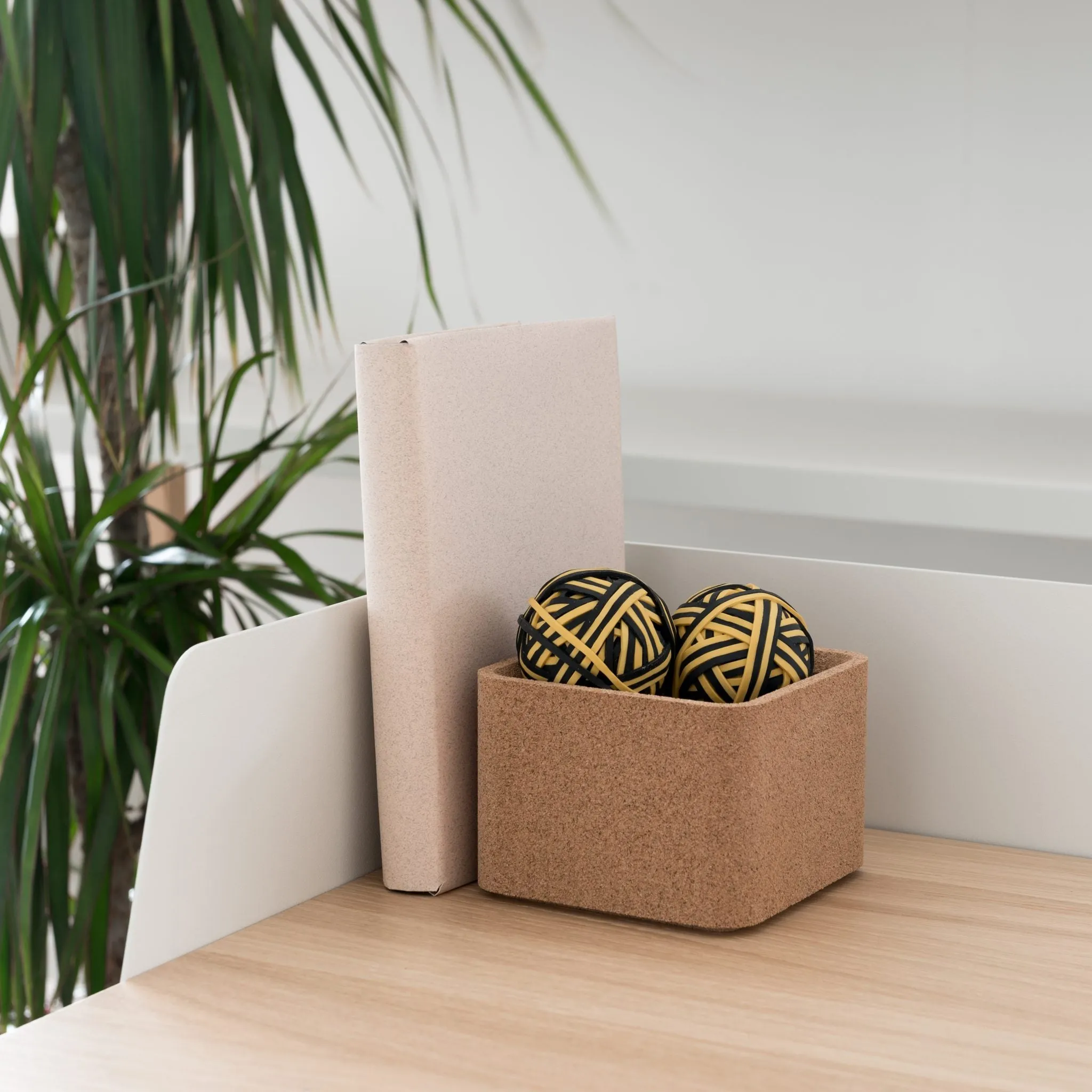 Trove Box by Case