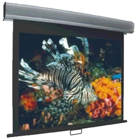 Vutec Econo Pro Manual Wall Front Projection Screen 92-Inch 16:9 Format