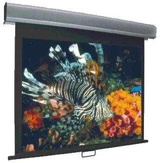 Vutec Econo Pro Manual Wall Front Projection Screen 92-Inch 16:9 Format