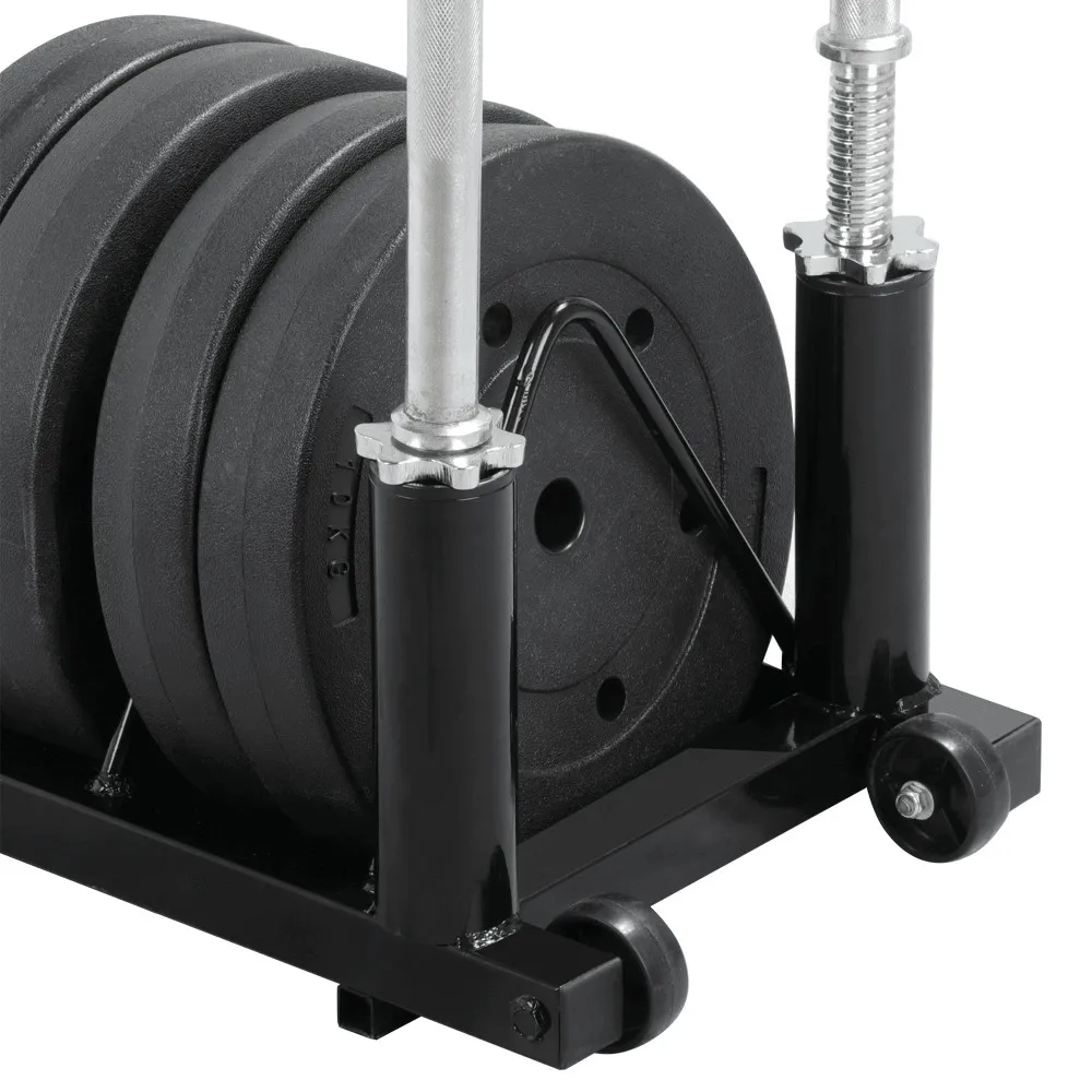 Yaheetech Horizontal Plate and Olympic Bar Rack