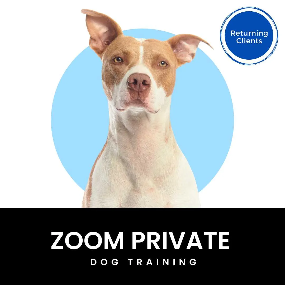 Zoom Private Dog Training (Returning Clients)